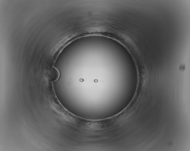 X0000115641217200911101509