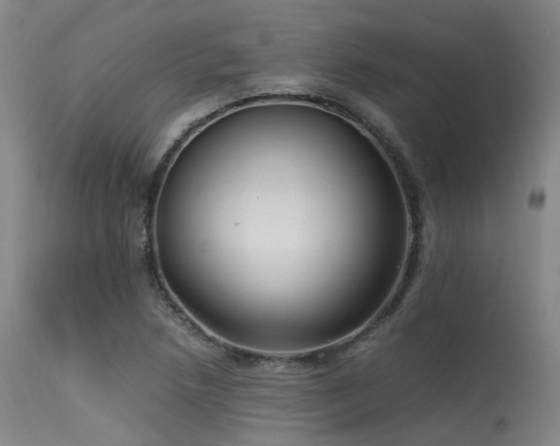 X0000115641218200911101509