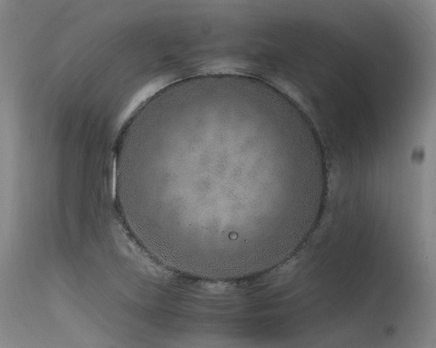 X0000115641219200911101509