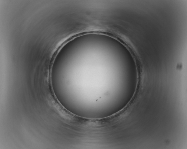 X0000115641220200911101509
