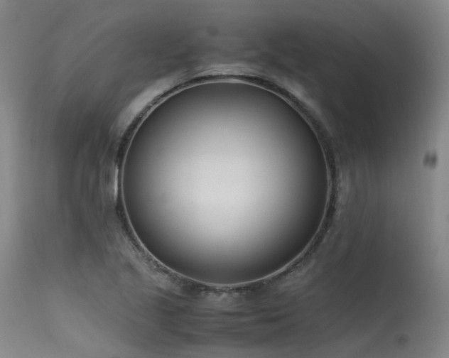 X0000115641221200911101509