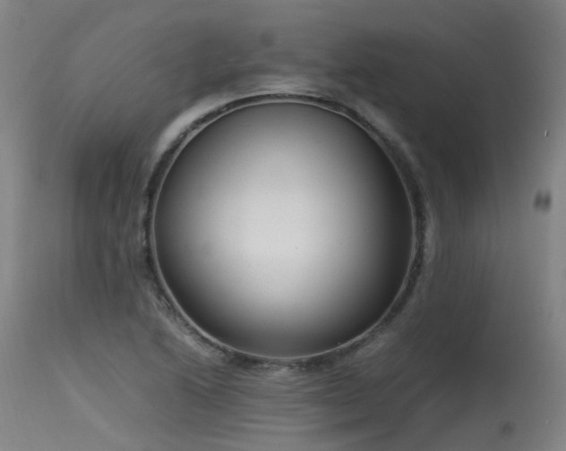 X0000115641222200911101509