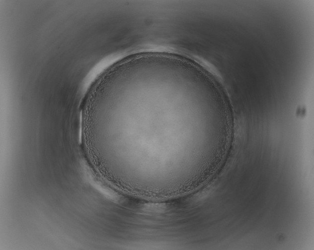 X0000115641223200911101509