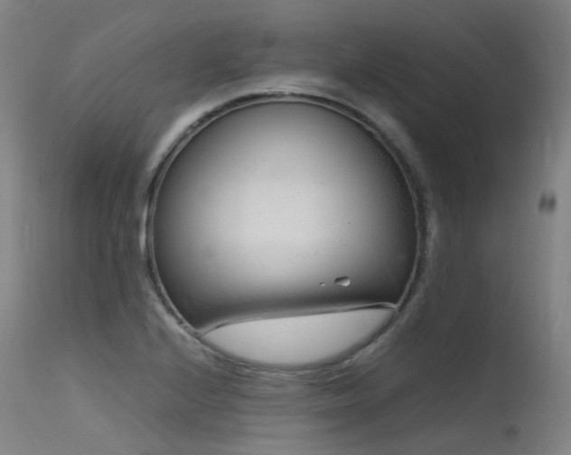 X0000115641224200911101509