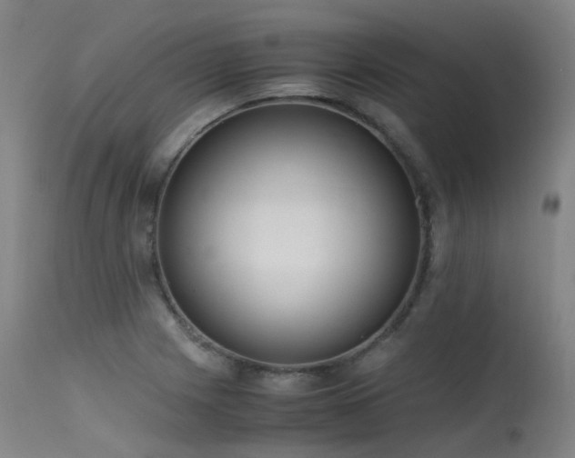 X0000115641225200911101509