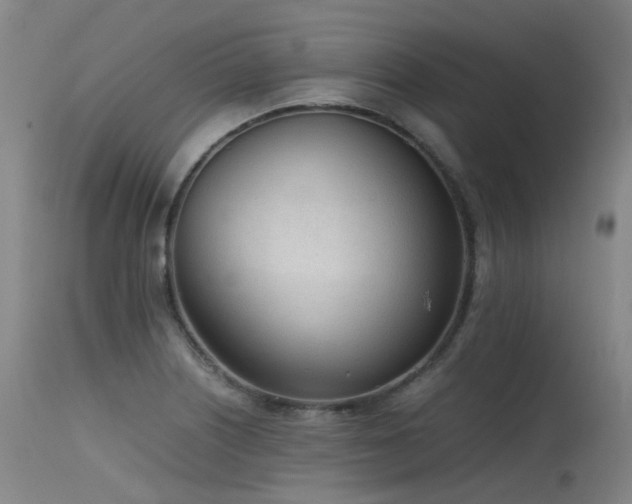 X0000115641226200911101509