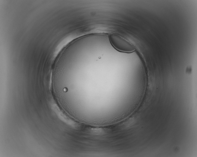 X0000115641227200911101509