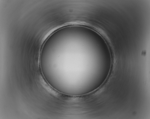 X0000115641228200911101509