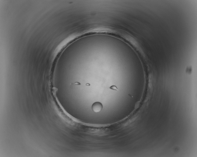 X0000115641229200911101509