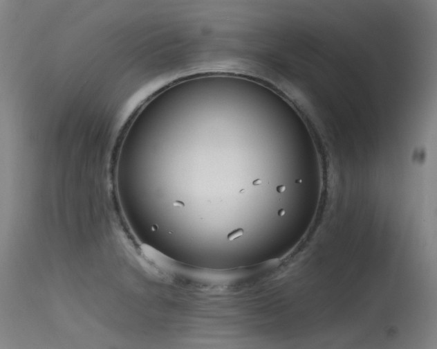 X0000115641230200911101509