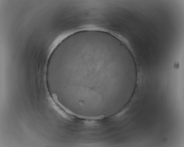 X0000115641231200911101509