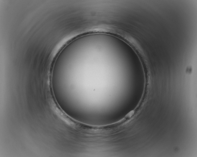 X0000115641232200911101509