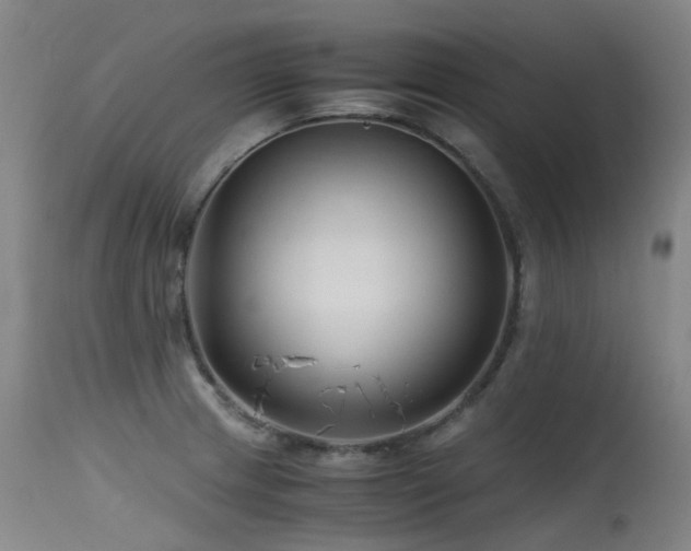 X0000115641233200911101509