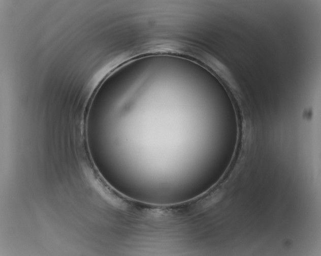 X0000115641234200911101509