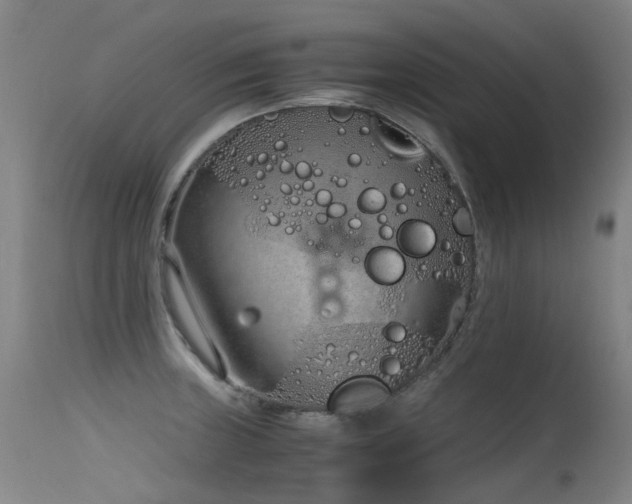 X0000115641235200911101509