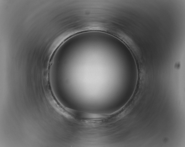 X0000115641236200911101509
