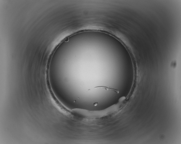 X0000115641237200911101509