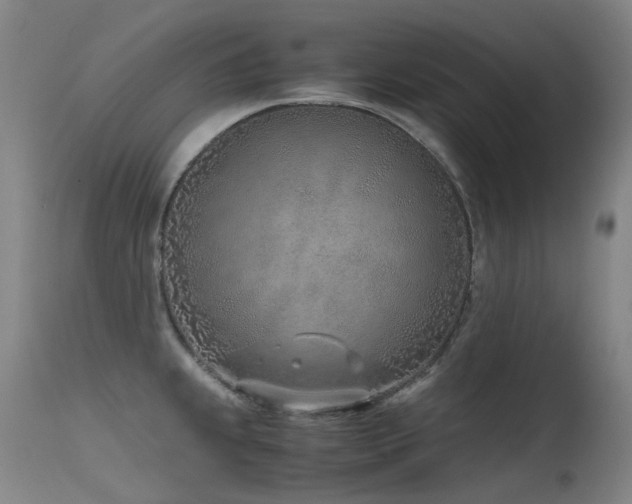 X0000115641239200911101509