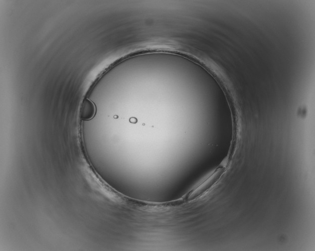 X0000115641240200911101509