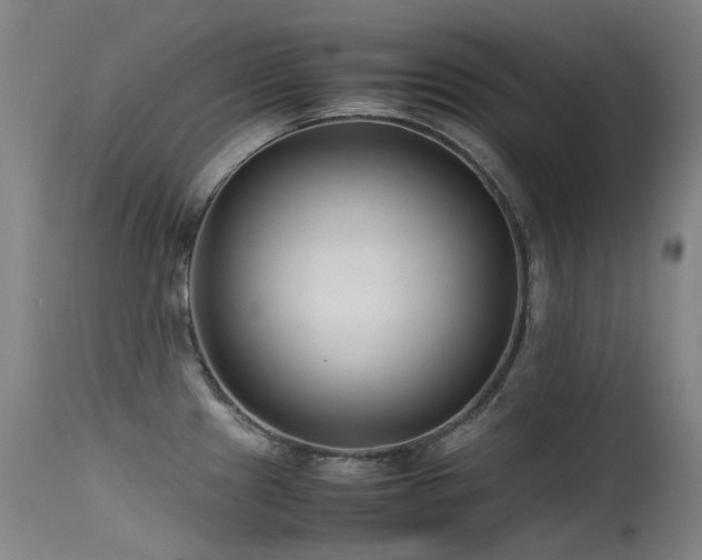 X0000115641241200911101509