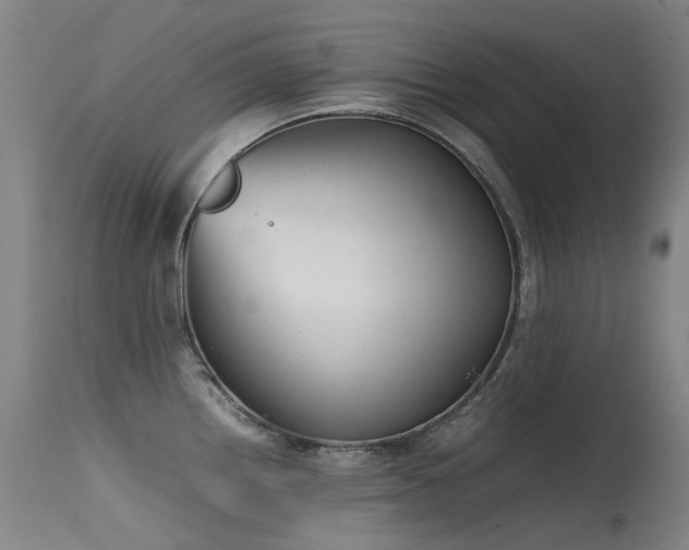 X0000115641242200911101509