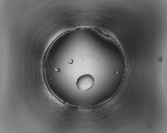 X0000115641243200911101509