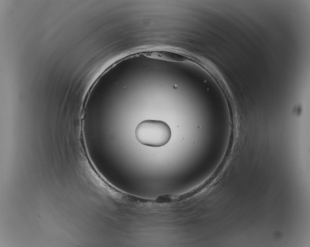 X0000115641244200911101509