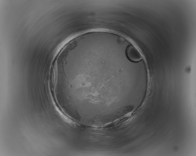 X0000115641245200911101509