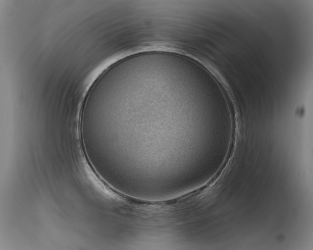 X0000115641246200911101509