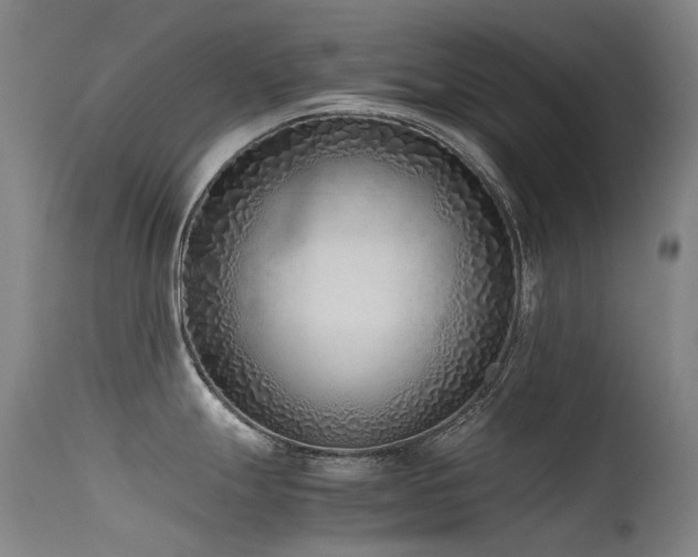 X0000115641247200911101509