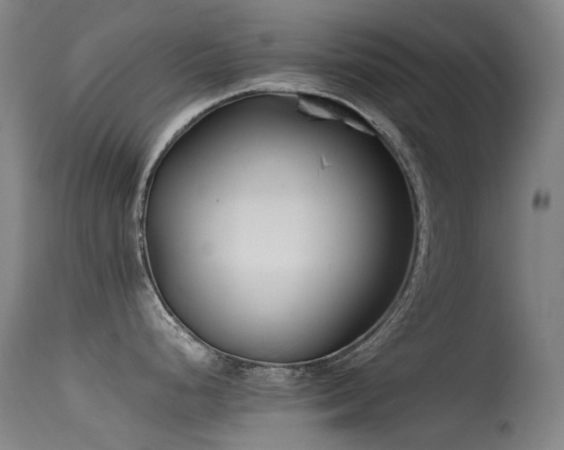 X0000115641248200911101509