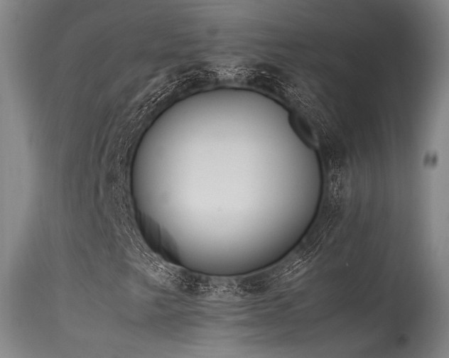 X0000115641249200911101509