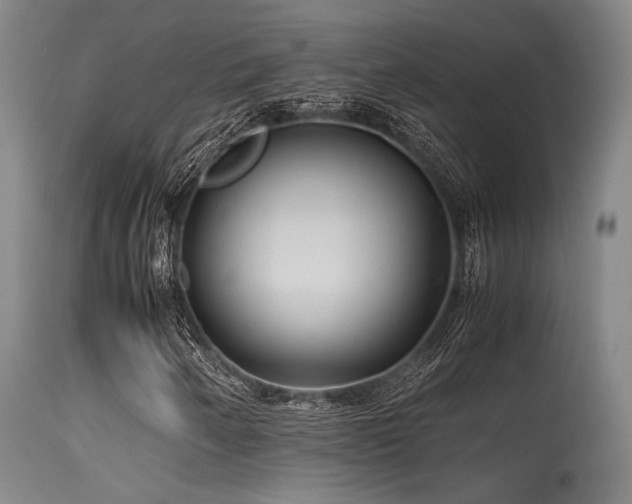 X0000115641250200911101508
