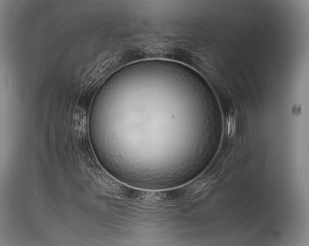 X0000115641251200911101508