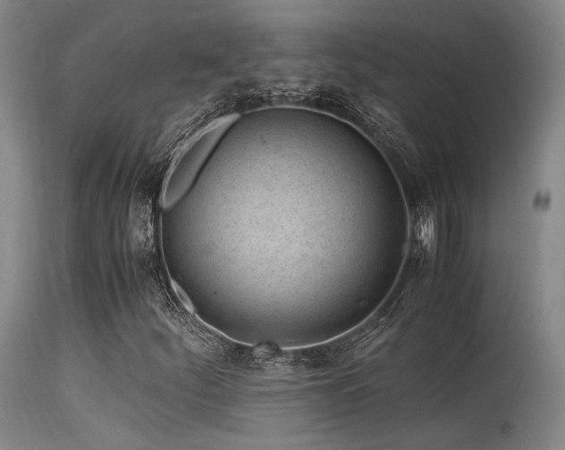 X0000115641252200911101508