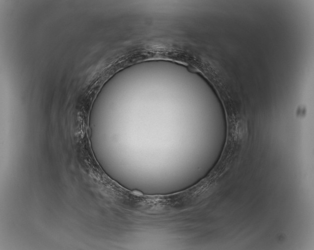 X0000115641253200911101508