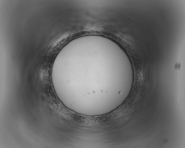 X0000115641254200911101508
