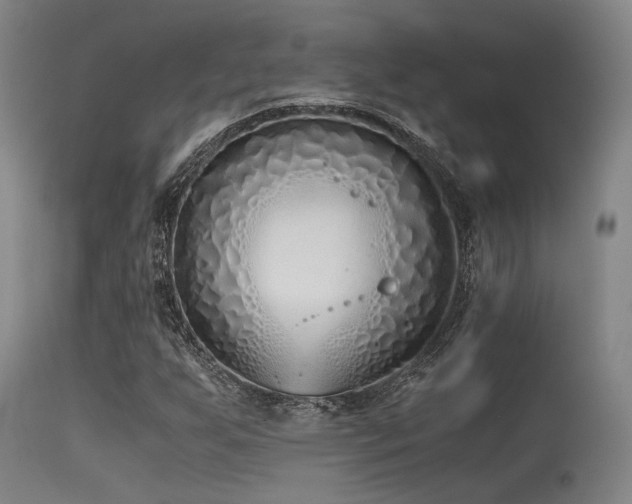 X0000115641255200911101508