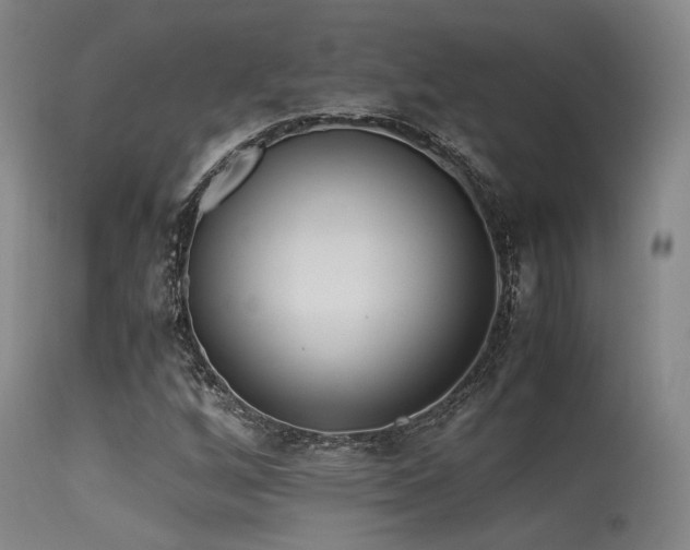 X0000115641256200911101508