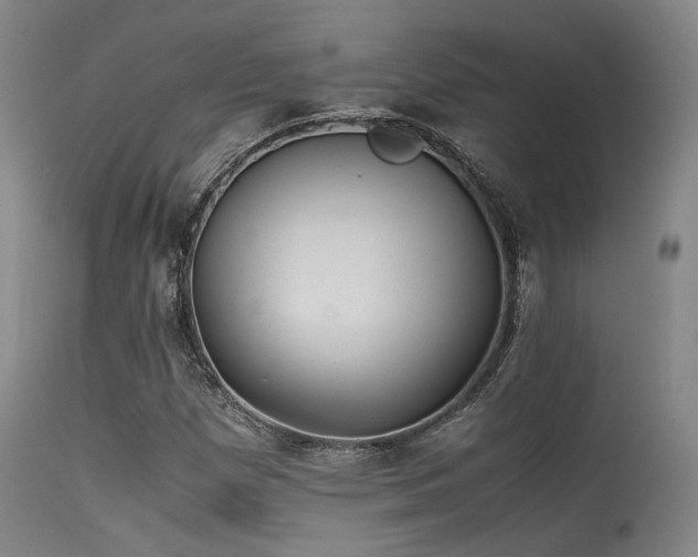 X0000115641257200911101508