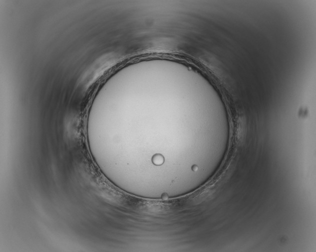X0000115641258200911101508