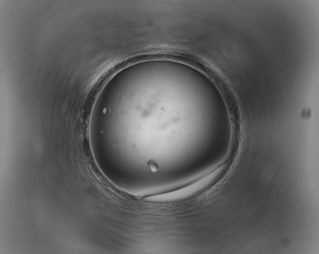 X0000115641259200911101508