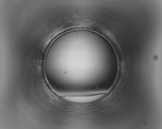 X0000115641260200911101508