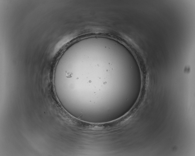 X0000115641261200911101508