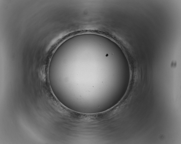 X0000115641262200911101508