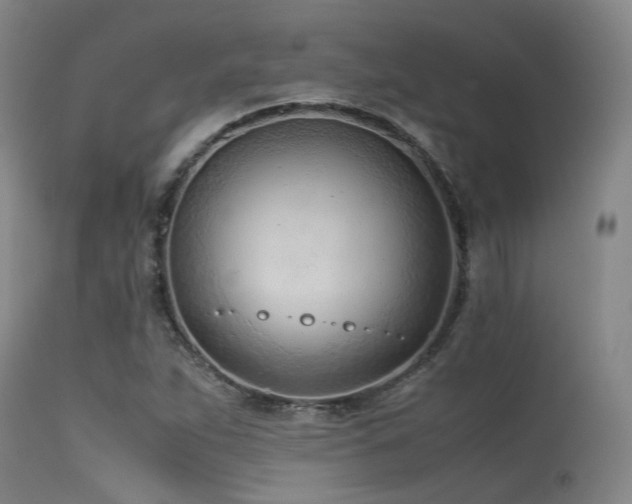 X0000115641263200911101508
