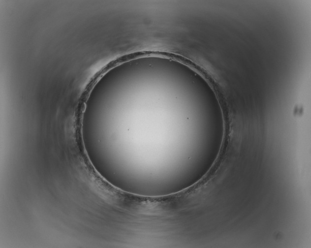 X0000115641264200911101508