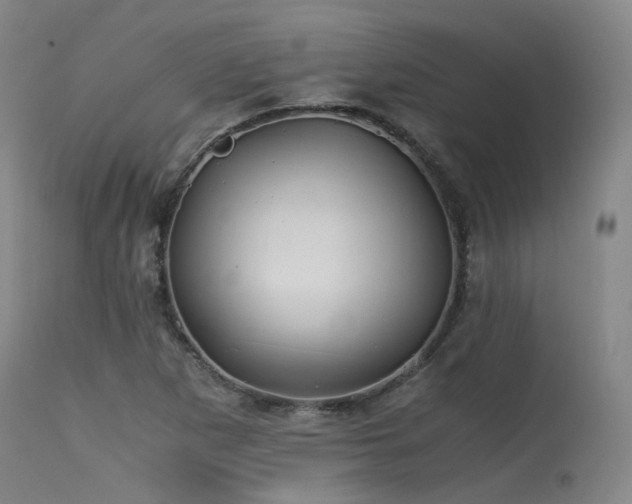 X0000115641265200911101508
