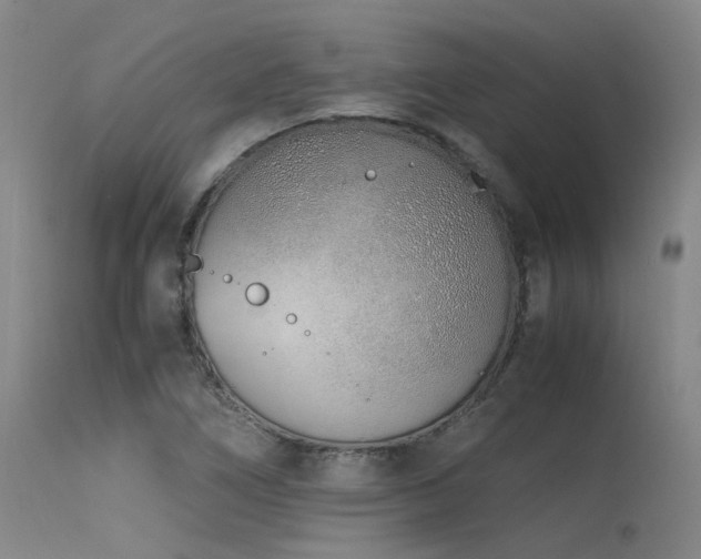X0000115641266200911101508