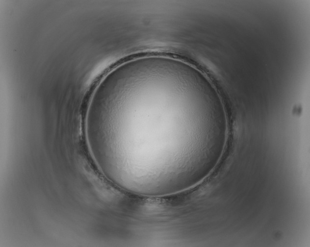 X0000115641267200911101508